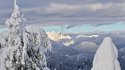 cypress-snow.jpg