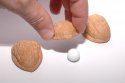 shell-game.jpg