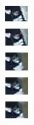 SP possible patch resampled.jpg