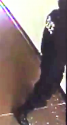 videoplayback0596 copy SP shoe possibly brownish color.png