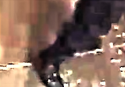 SP shoe 2 straps exp max.png