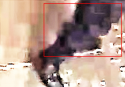 SP shoe 2 straps knee area of interest.png
