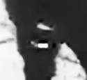 gloves3 processed.png