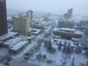 IMG_5389.jpg