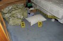Crimescene Pillow Blood MBR.jpg