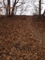 IMG_2765.JPG