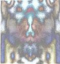 face4.jpg