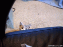 an   what's up !!.gif