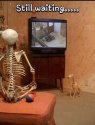 Still Waiting April.jpg
