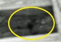 Capture-2.jpg