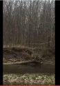 Screen Shot 2017-03-06 at 1.13.03 PM.jpg