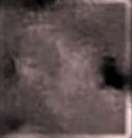 16508437_847462835394914_1841689238840217665_n.jpg