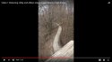 High Bridge over Private Drive.jpg
