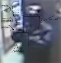 1.02upperbodyPicsMaskMarked.jpg