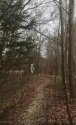 southeast bridge exit crime scene tape.jpg