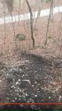 path.jpg