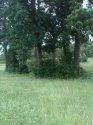 I455.jpg