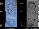 Bootprint found by Investigators.jpg