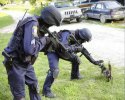 swat team and cat.jpg