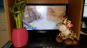 20170330_173913.jpg