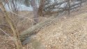 20170403_113827.jpg