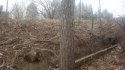20170403_113720.jpg