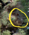 20170409_212340.png