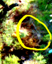 20170409_212538.png