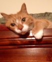 toocute.jpg