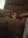 my chair.jpg