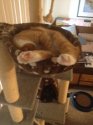 teacup2.jpg