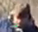 facial_hair.jpg