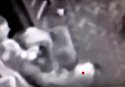 Mr Red Dot1.jpg