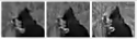 ONE TWO THREE heads only BW 1.png