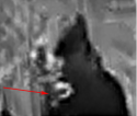 THREE head BW marked.png