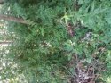 20170602_092054.jpg