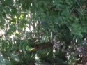 20170602_092059.jpg