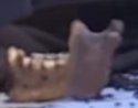 2017 Yonkers Mandible in Rug.jpg