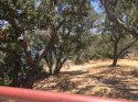 vista point 4.jpg