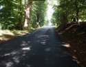 Road Near Creek B.jpg