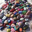 Bella-Rock-Garden-Steven-Sours.jpg