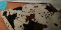 cow_pillow.jpg