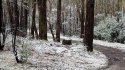 r0_11_960_553_w1200_h678_fmax.jpg