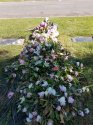20170730_164905.jpg