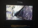 20170803_110554.jpg