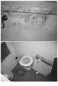 Basement Bathroom.jpg