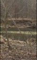 Shallow Point of creek.jpg