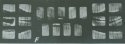 189ufsc_dentals.jpg