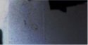 Capture-pic on wall.jpg