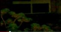 Hint7_closeup.jpg
